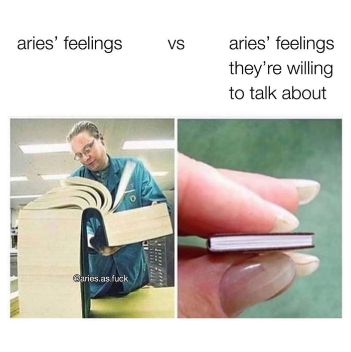 Aries Memes - feelings