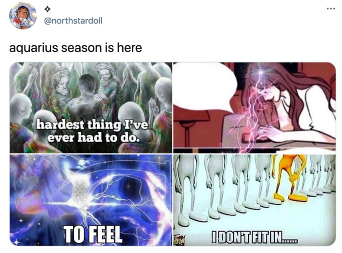 Aquarius Memes - normal