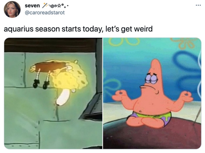 Aquarius Memes - spongebob