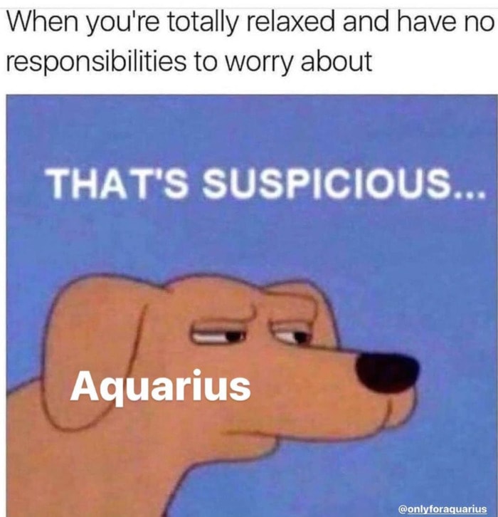 Aquarius Memes - that's suspicious