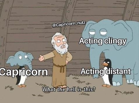 Cartoon - @Capricorn_nutz Acting clingy Capricorn Acting distant What the hell is this?